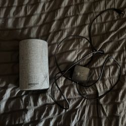 Amazon Alexa (Smart speaker)