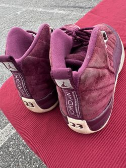 Jordan 23s Velvet