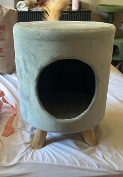 Pet stool