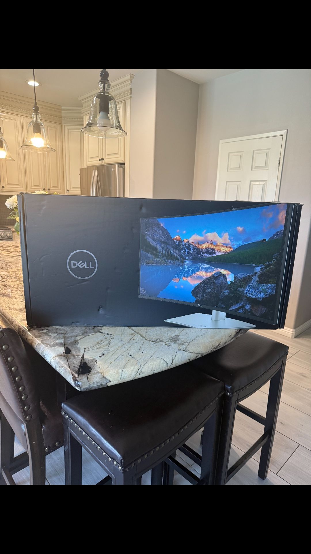 Dell Computer Monitor