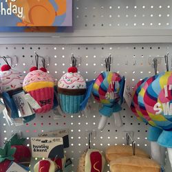 Dog Clothing And Accessories 