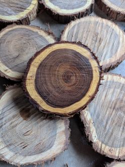 Mesquite Wood Rounds - Small