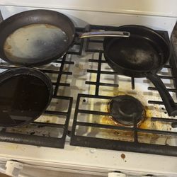 Professional Cleaner