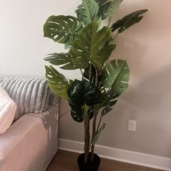 6ft Tall Fake Plant