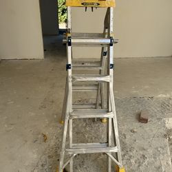 Ladder Werner 