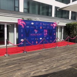 Red Carpet 💃🕺🪩Step And Repeats