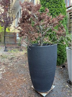 Large Textured Black Planter Pot