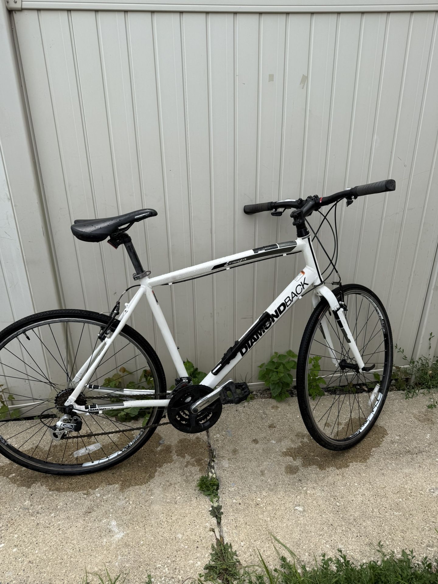 Diamondback
