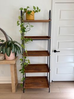 5-Tier Ladder Bookshelf / Plant Stand 🪴