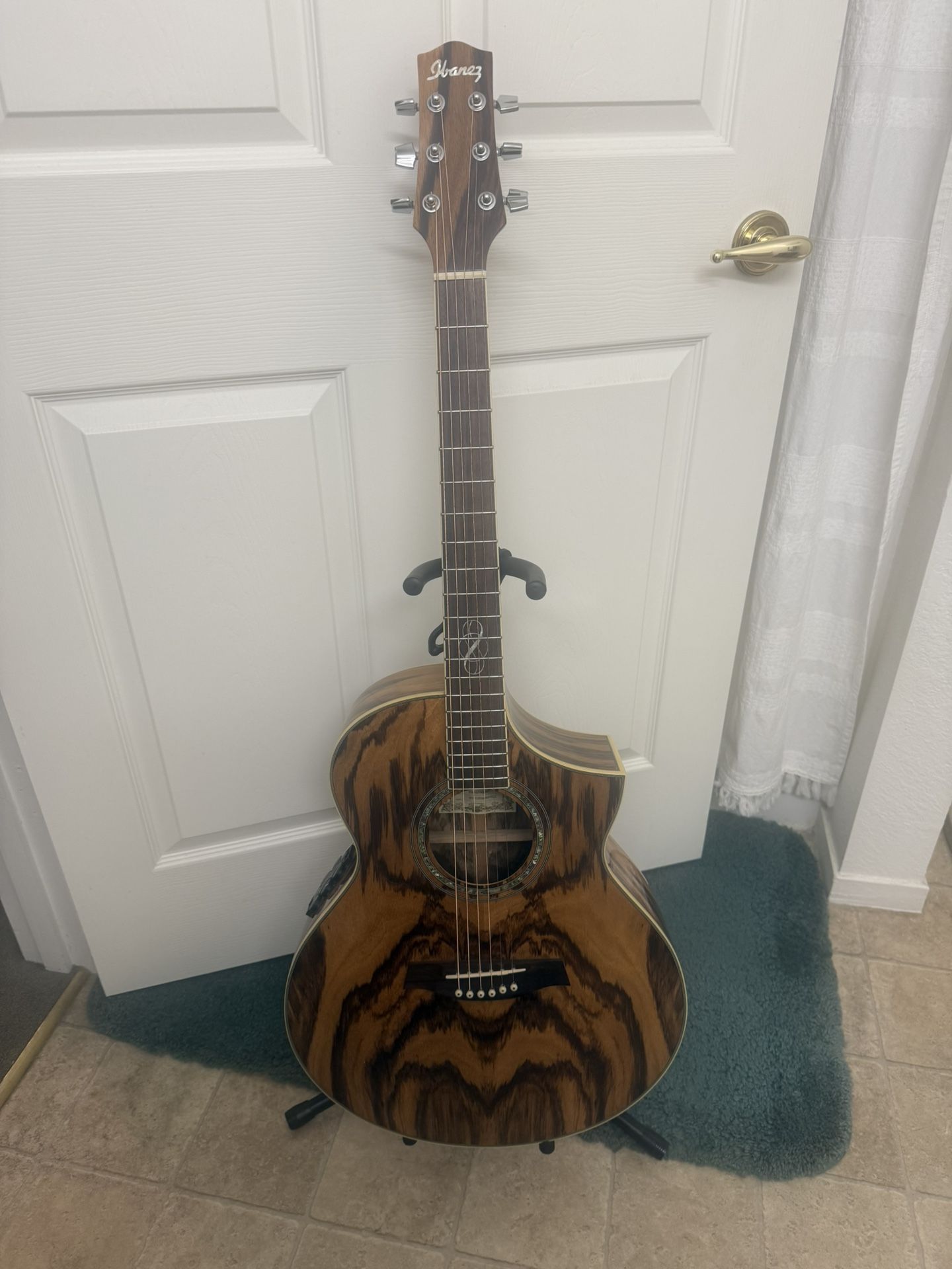 Ibanez Dogwood acoustic/electric Guitar 