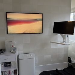 Audio video network mount