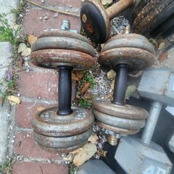 30 Pound Dumbbells 