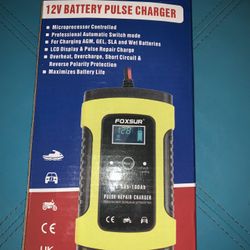 Foxsur 12V Battery Pulse Charger  $12