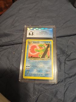 Politoed 6.5 slab