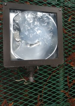 Hubbell Commercial Flood Light