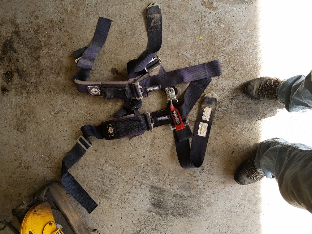 Rzr Pro Armor Harness