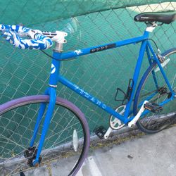 Bike 700 Fixie 55 Cm