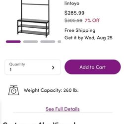 Wayfair Coat Hanger & Shoe Holder