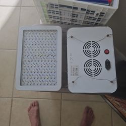 Led grow lights. 1000 Watts