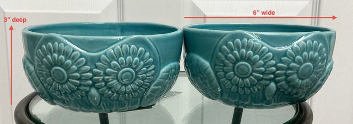 Pair of Shabby Turquoise Great Expectations Owl Bowls