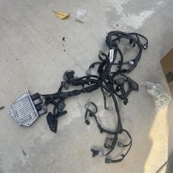 Frs Brz 86 Harness