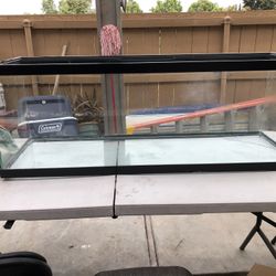 50 Gallon Tank
