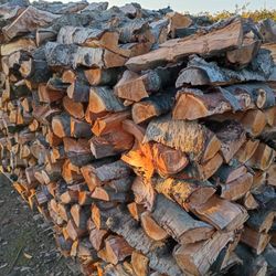 Split And Seasoned Cherry Fire Wood Full Truckload 