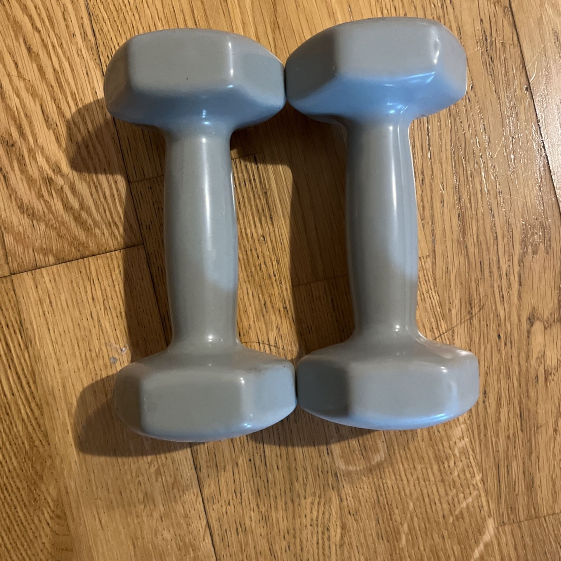 4lbs Dumbbells  x2