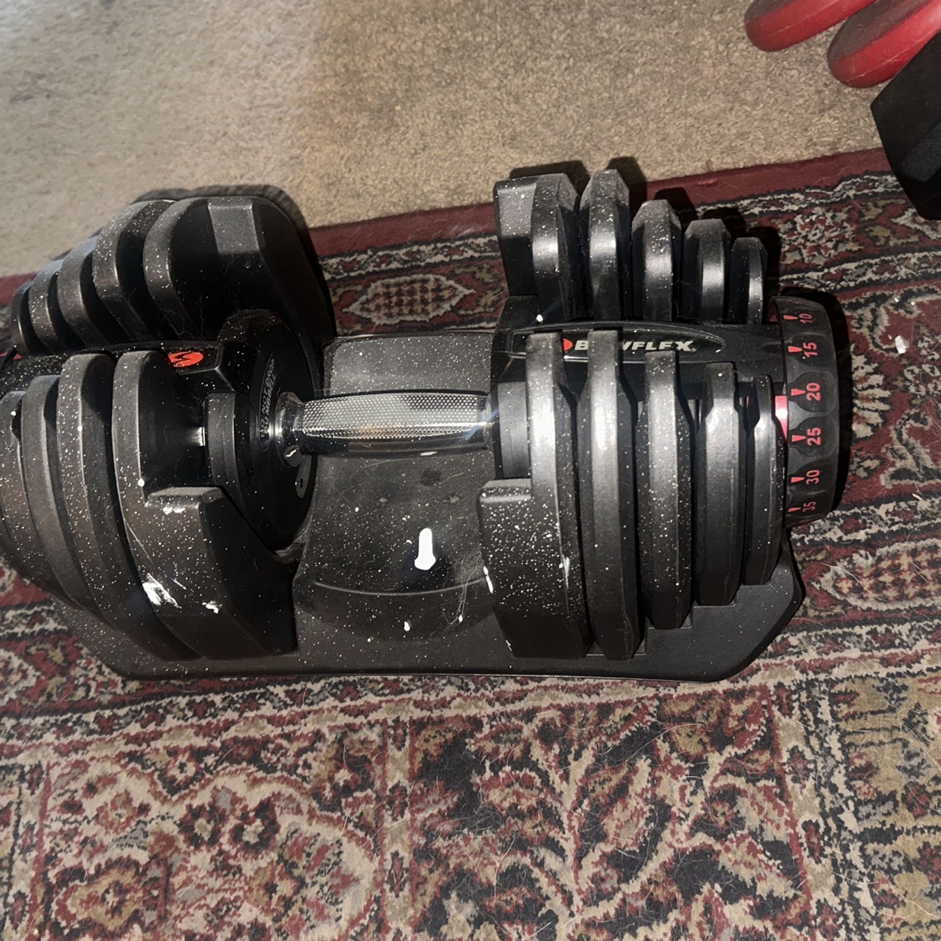 Adjustable Dumbbells BowFlex