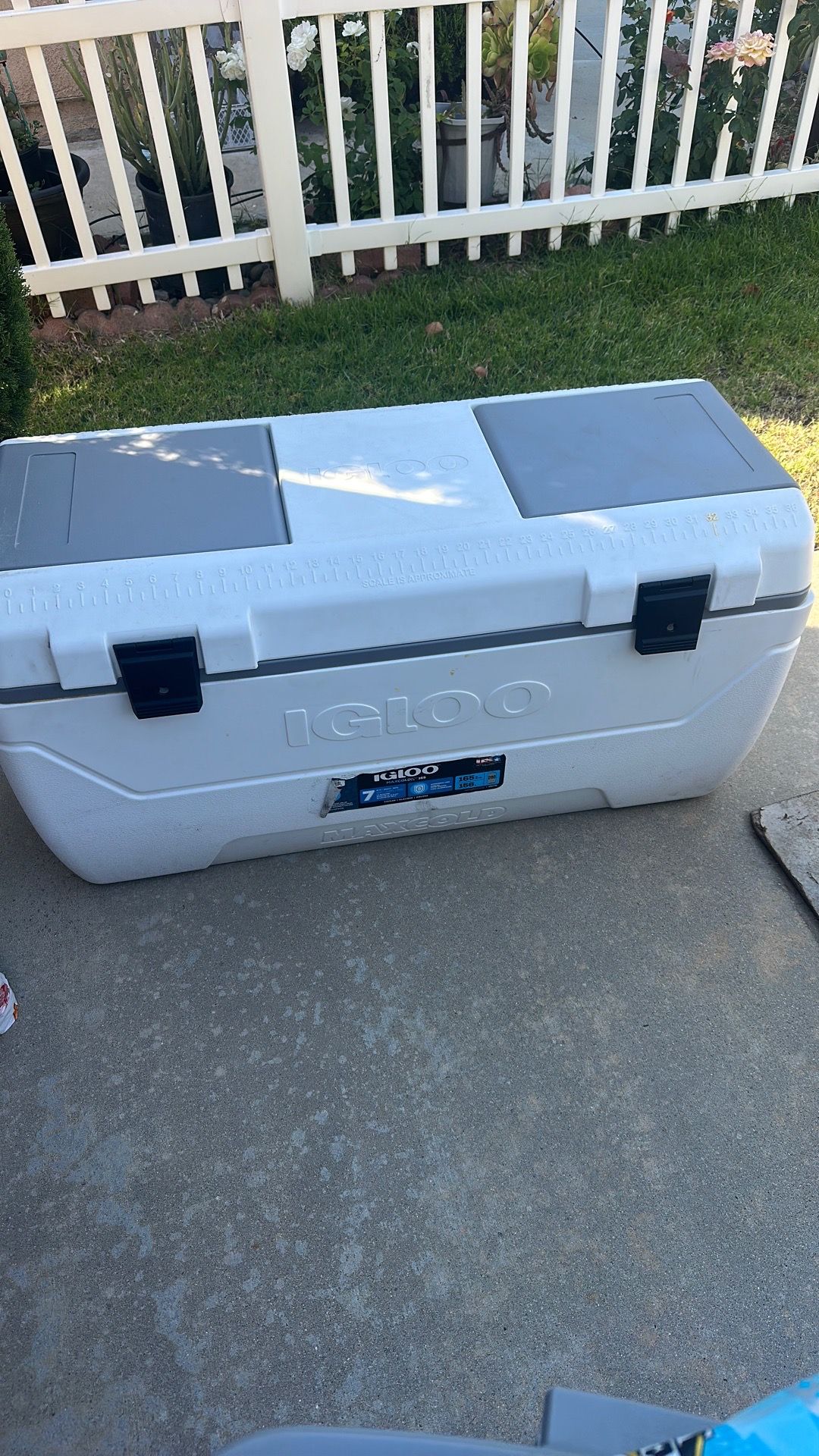 Igloo 165 QT ice chest