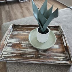 Tray With Plant And Plant Stand