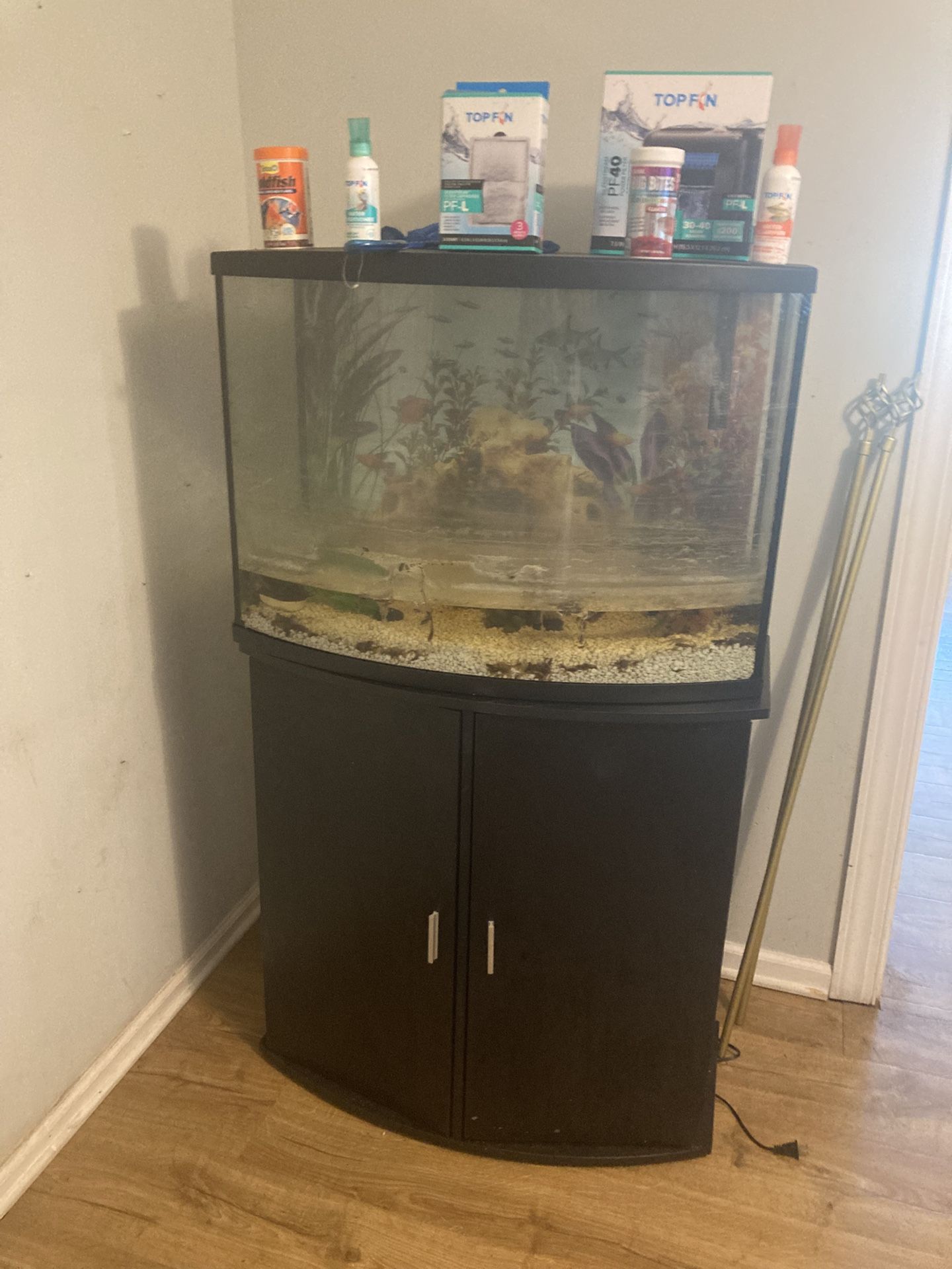 Black Bow Front Corner Fish Tank