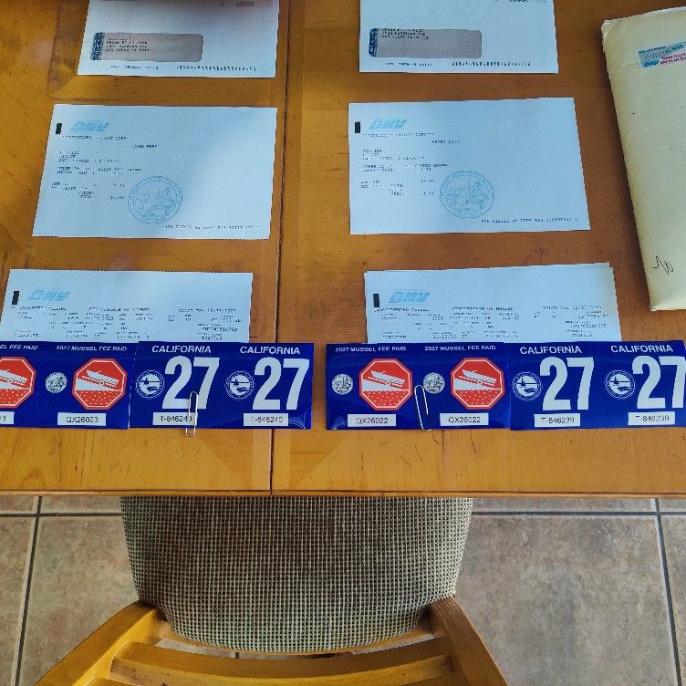 10 Ft - Aluminum (Smoker Craft) *As Is