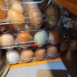 Eggs