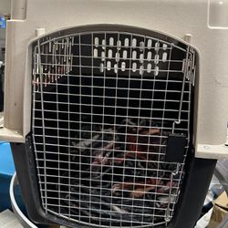 Dog Crate. Very Nice Quality. Sturdy. 
