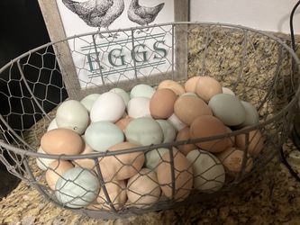 Organic farm fresh eggs