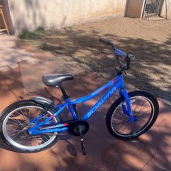 Kids Schwinn Bike