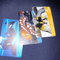 SeaWorld Tickets 