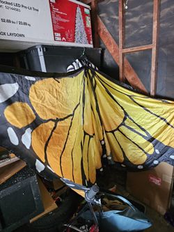 6 Ft Wide Butterly Wings
