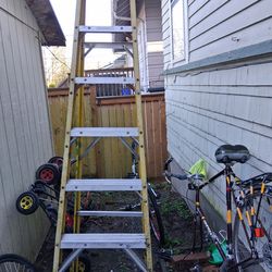 Husky fiberglass ladder