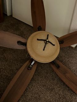ceiling fan