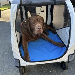 Dog Stroller