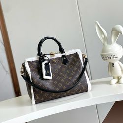 LV Speedy Soft 30 Teddy