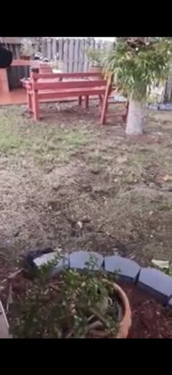 Drainfield Rock (57)