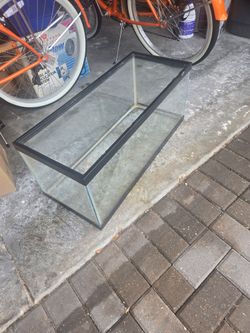 20 Gallon Terrarium.