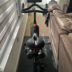 Pro Form Exercise Bike