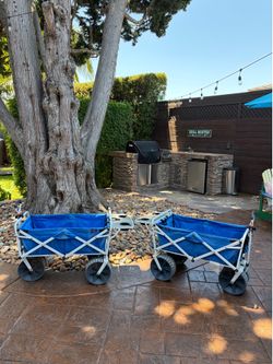 Beach wagons