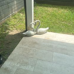 Home Decor Swans