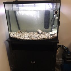 36 Gallon Arch Tank With Stand Filter And Heater 