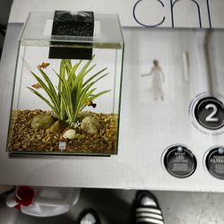 Aquarium 5 gallon Fluval New